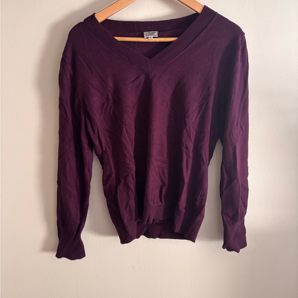 Cielo Deep Purple V-Neck Sweater